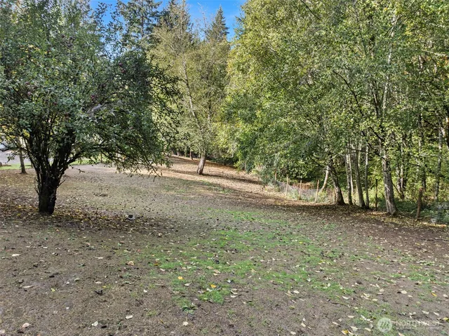 a view of a yard with a tree