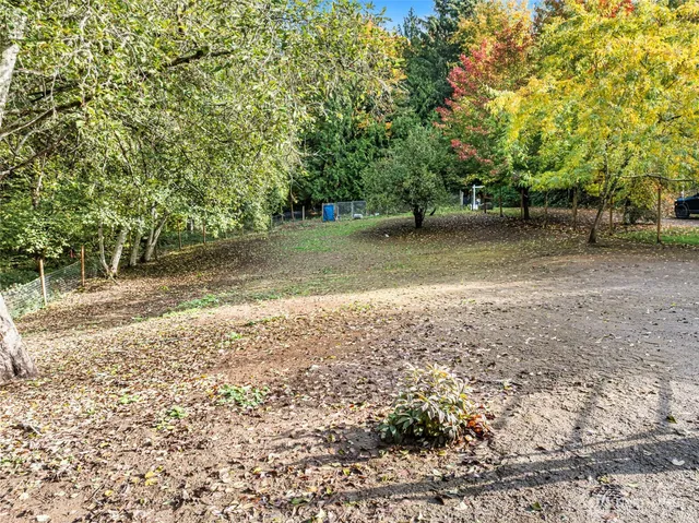 a view of a yard with plants and trees