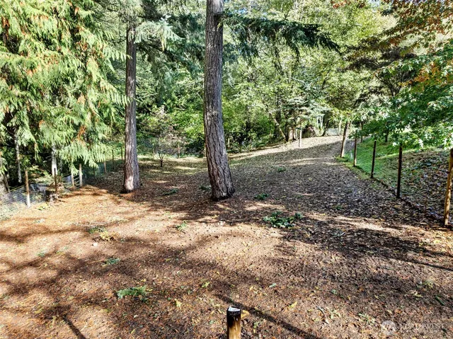 a view of a tree in the middle of a yard
