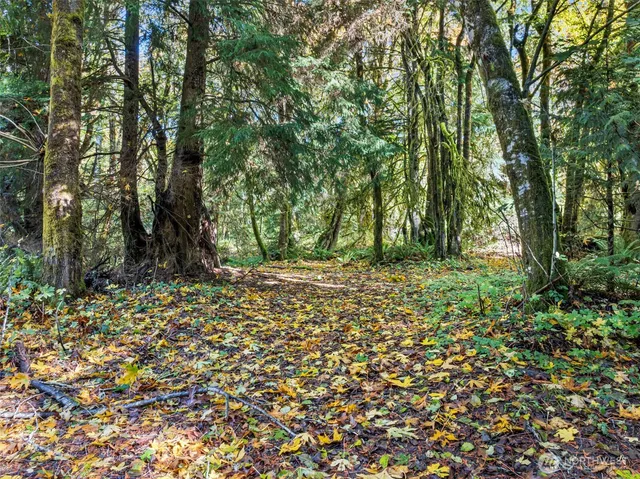 a view of outdoor space with deck and trees