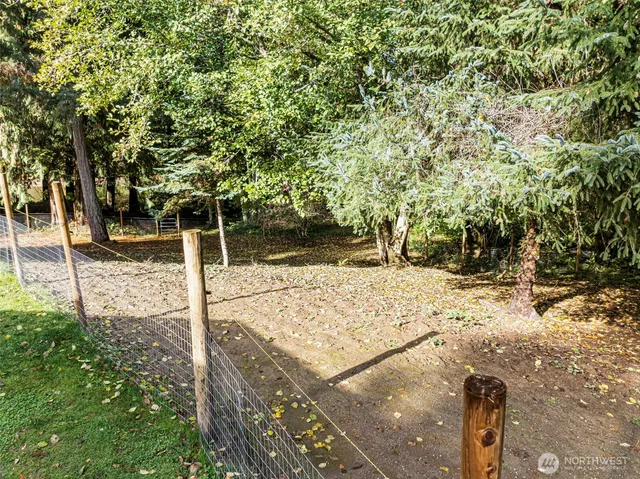 a view of a yard with plants