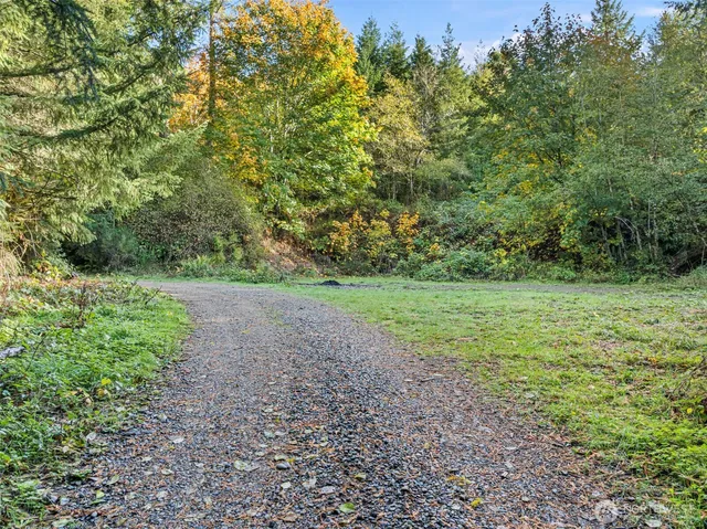 a view of a yard with a tree
