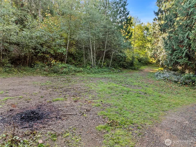 a view of a field with trees in the background