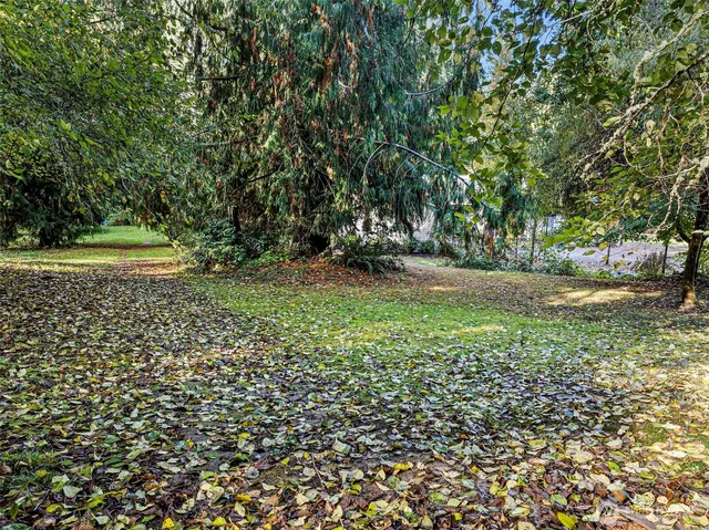 a view of a green field