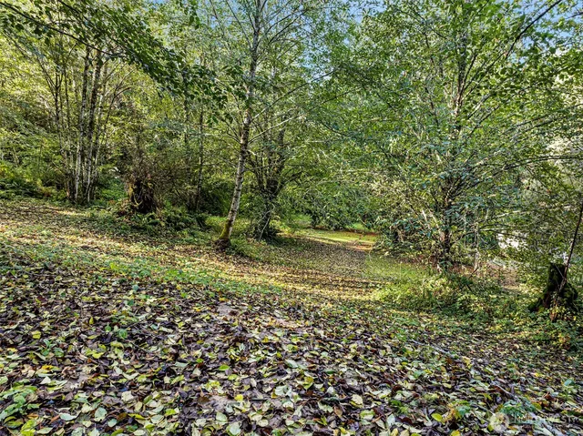 a view of yard with green space