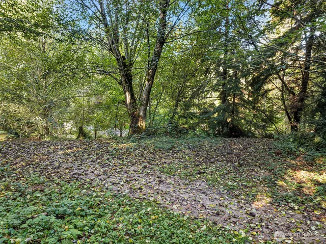 a big yard with lots of green space and deers