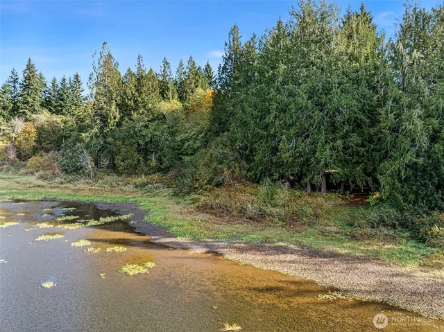 a view of a field with trees in the background
