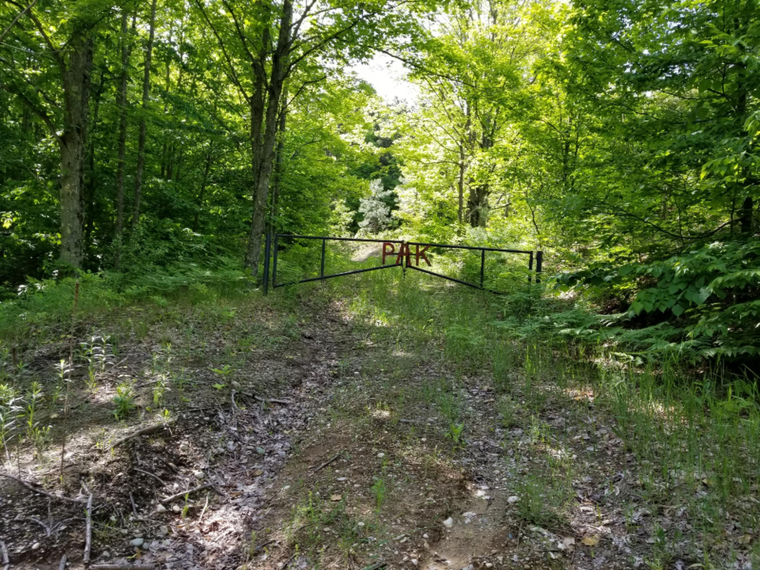 Vacant Springdale Road Thompsonville, MI 49683 - Photo 4 of 11 20190613_171552