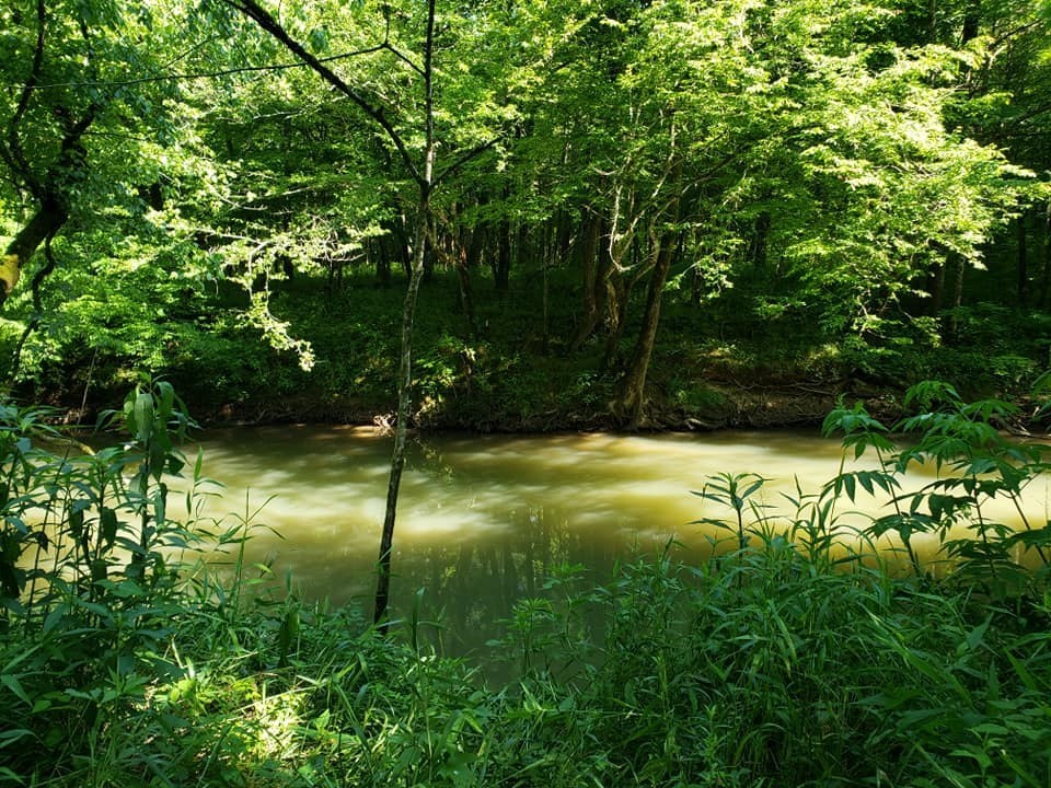 126 Sewee Creek Road Decatur, TN 37322 - Photo 22 of 24 Gallery Image 22