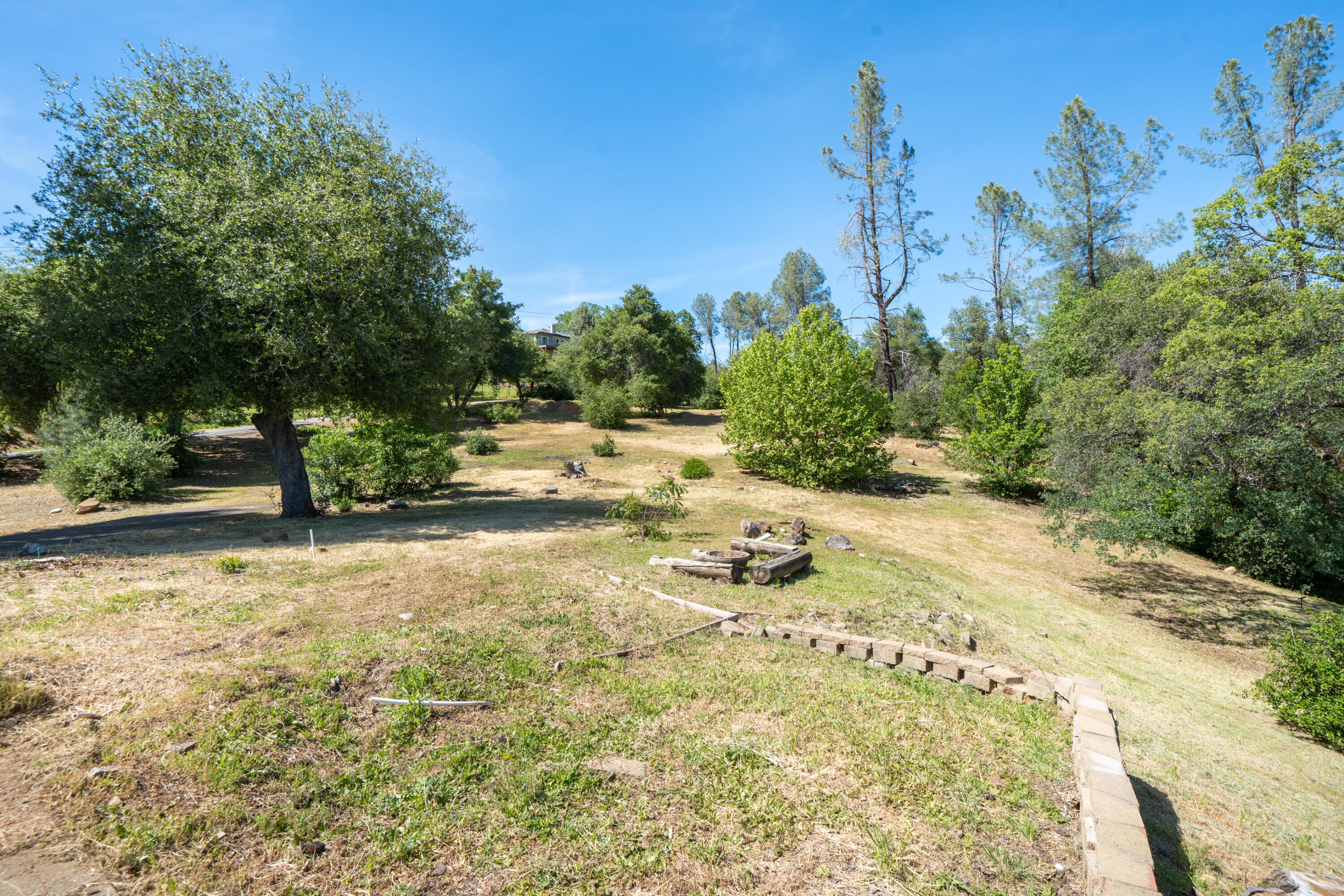 15809 Old Stage Coach Road Redding, CA 96001 - Photo 12 of 33 a view of a yard with plants and trees