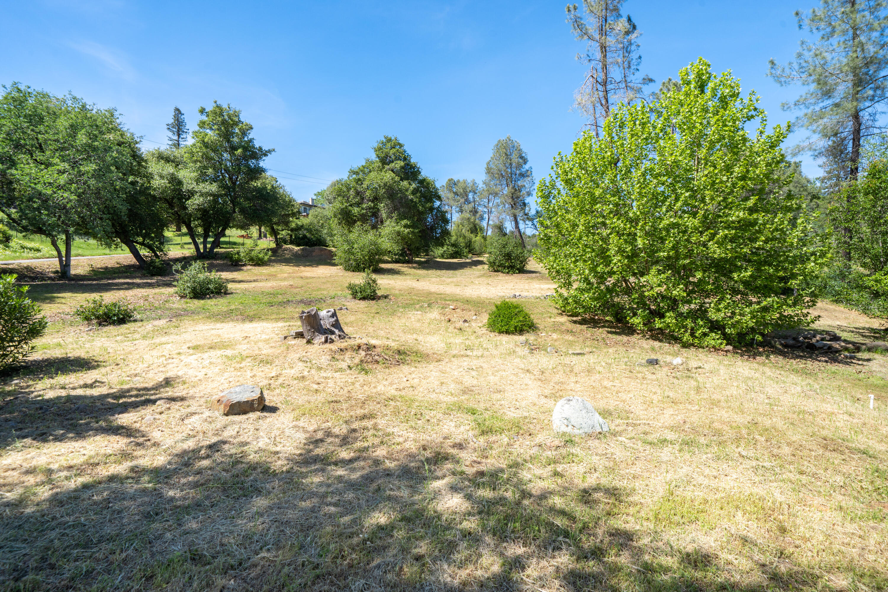 15809 Old Stage Coach Road Redding, CA 96001 - Photo 14 of 33 a view of a yard with plants and trees