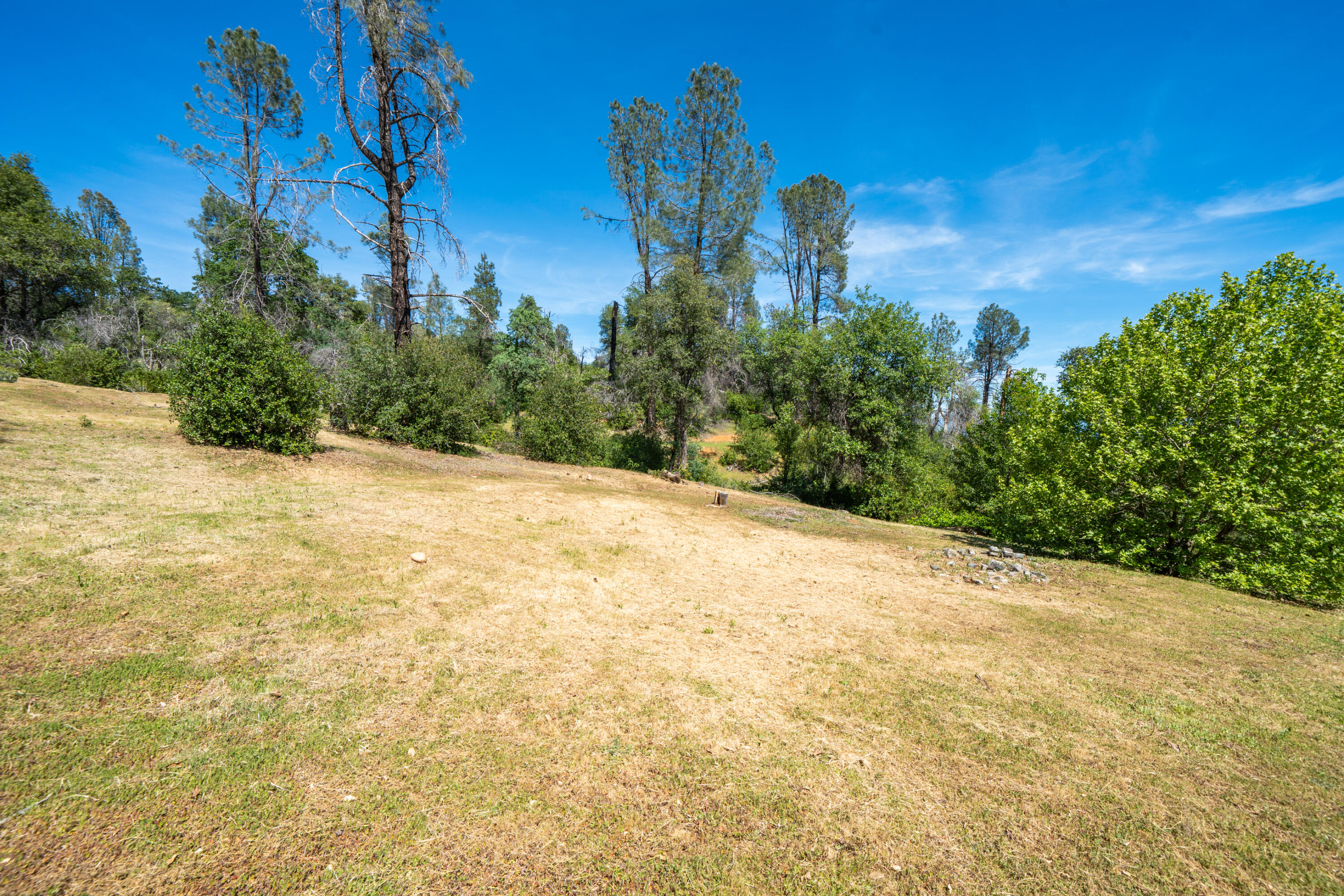 15809 Old Stage Coach Road Redding, CA 96001 - Photo 17 of 33 a view of a backyard of the house