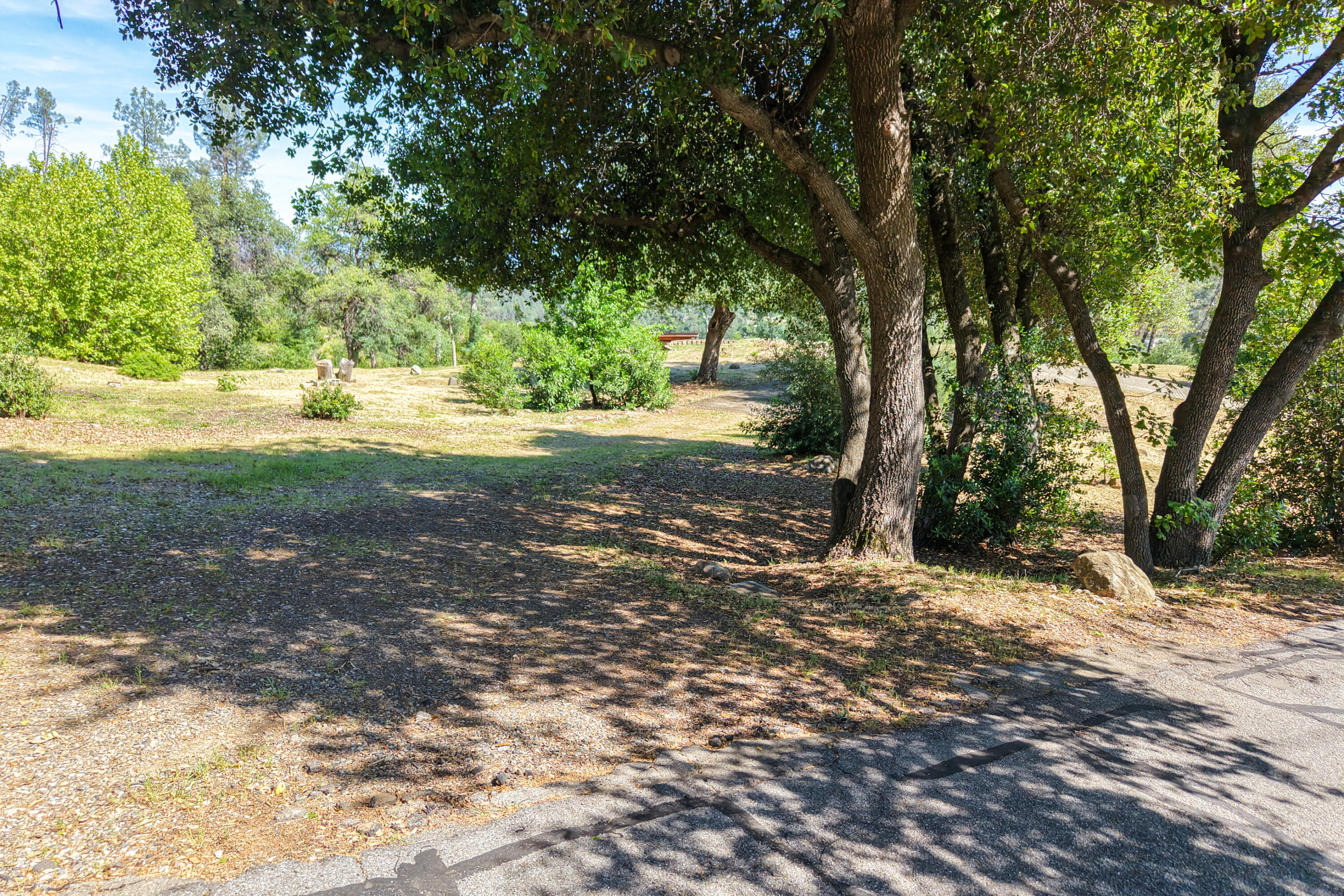 15809 Old Stage Coach Road Redding, CA 96001 - Photo 30 of 33 a view of a yard with plants and large trees