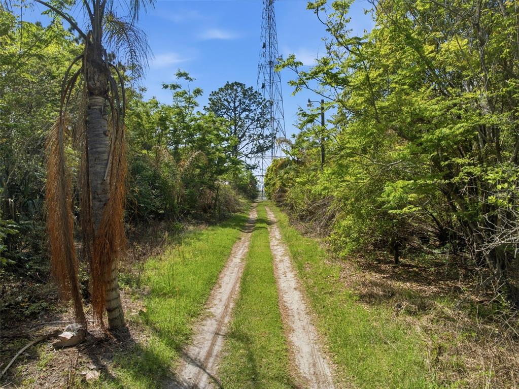 4267 Neff Lake Road Brooksville, FL 34602 - Photo 4 of 34