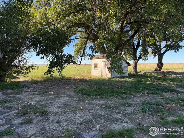 a view of a yard with a tree