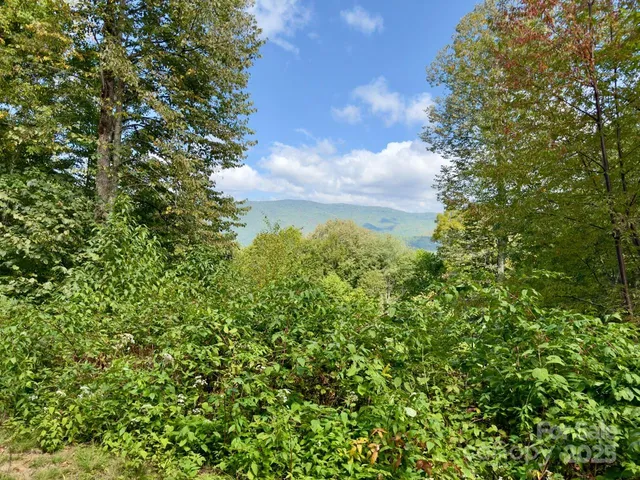 a view of a dirt road with trees in the background