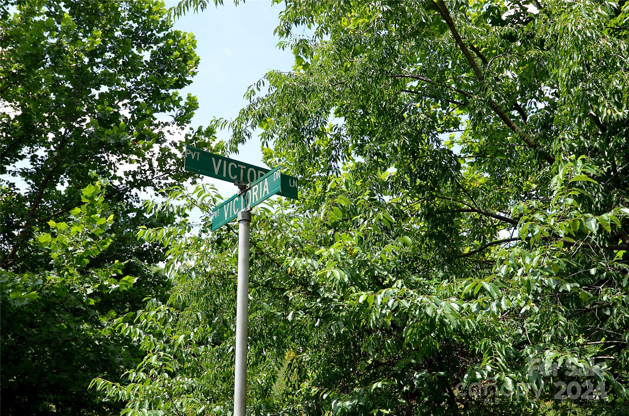 0 Victoria Drive Marion, NC 28752 - Photo 2 of 11 a close up of a tree