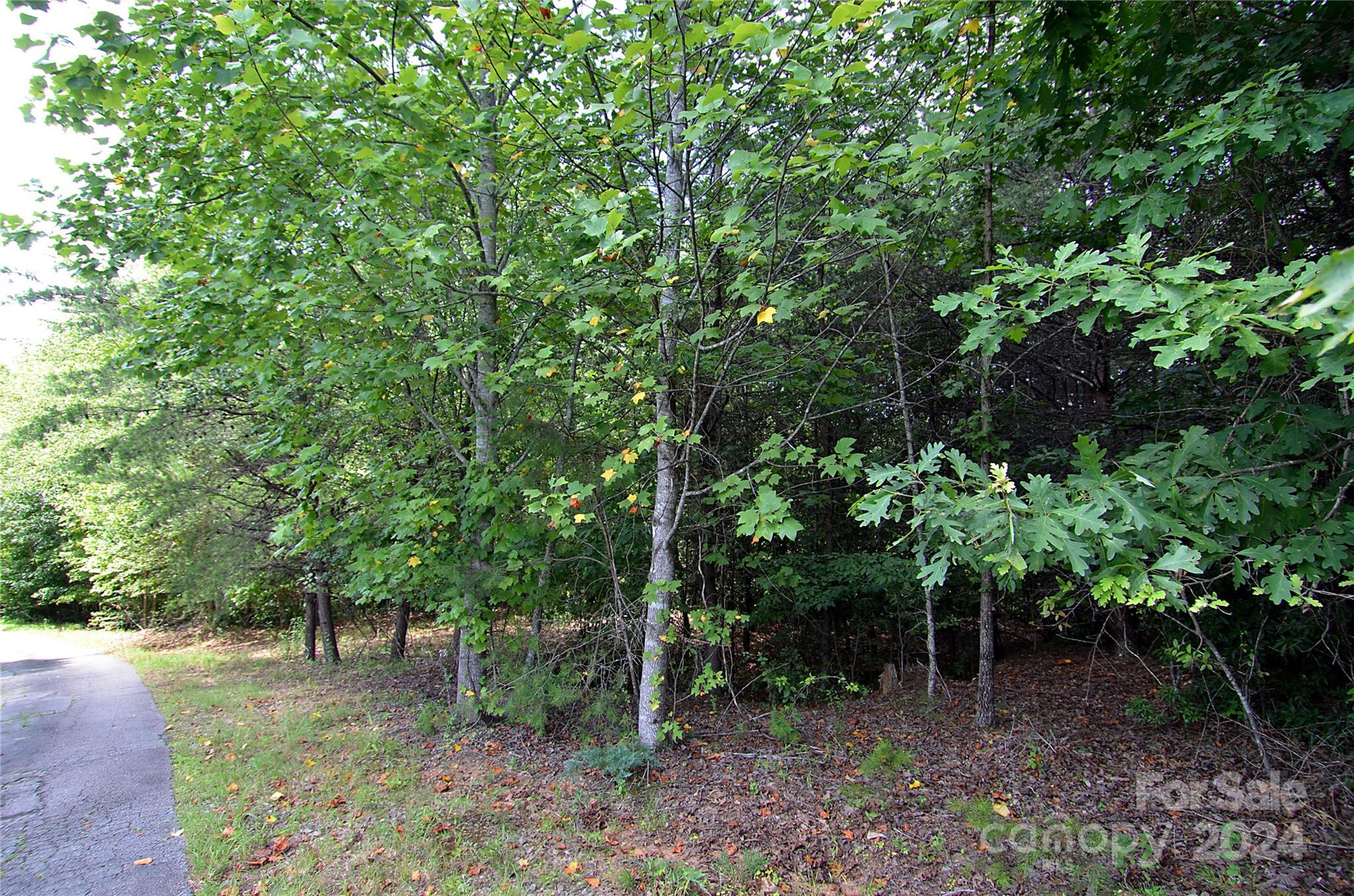 0 Victoria Drive Marion, NC 28752 - Photo 7 of 11 a backyard of a house with lots of trees