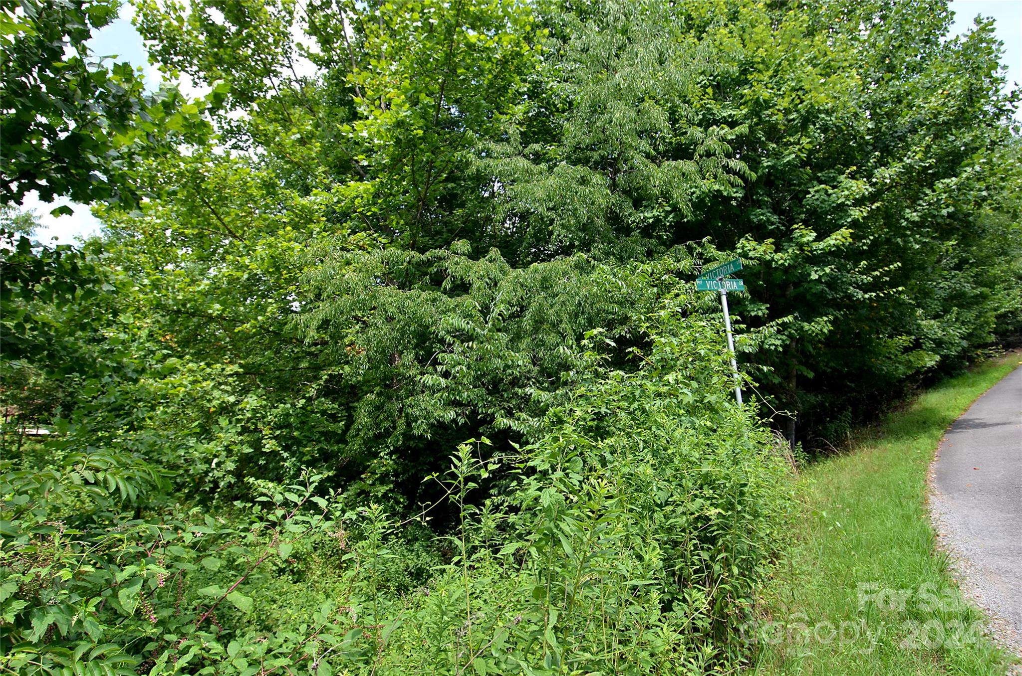 0 Victoria Drive Marion, NC 28752 - Photo 8 of 11 a view of a garden
