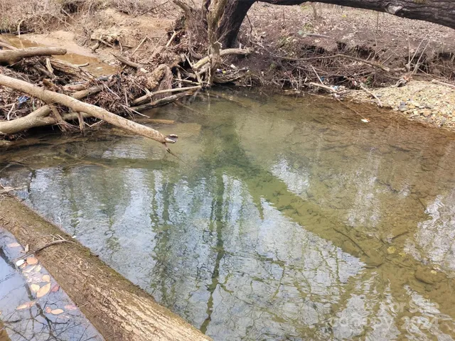 a view of yard with wooden floor