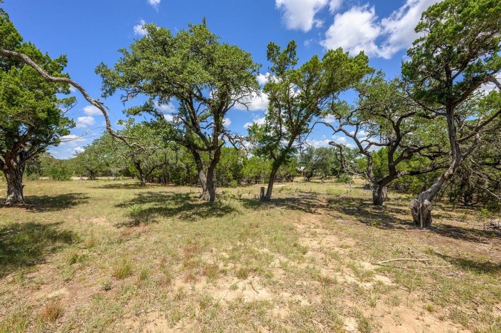 3501 Pursley Road Dripping Springs, TX 78620 - Photo 34 of 40 Gallery Image 34