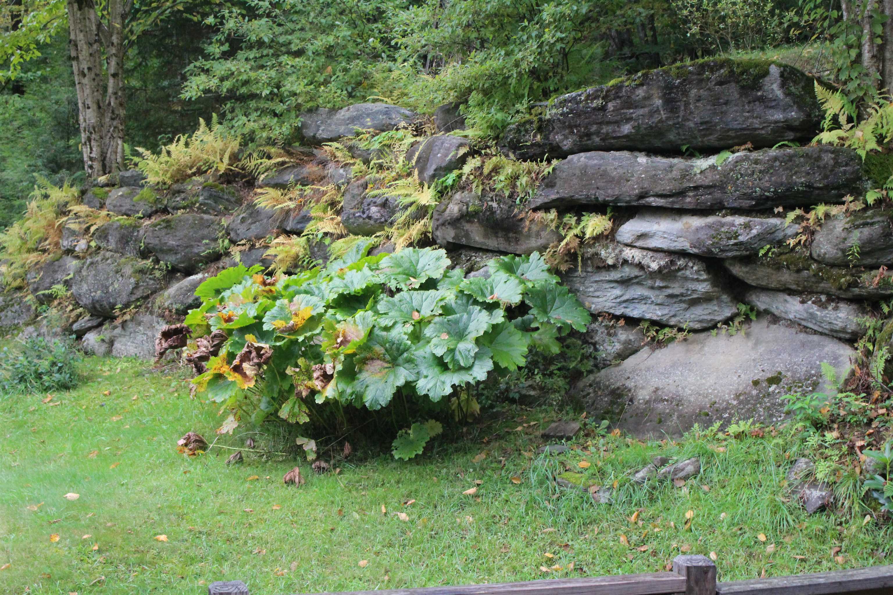 1566 Upper French Hill Road Johnson, VT 05656 - Photo 34 of 39 Gallery Image 34