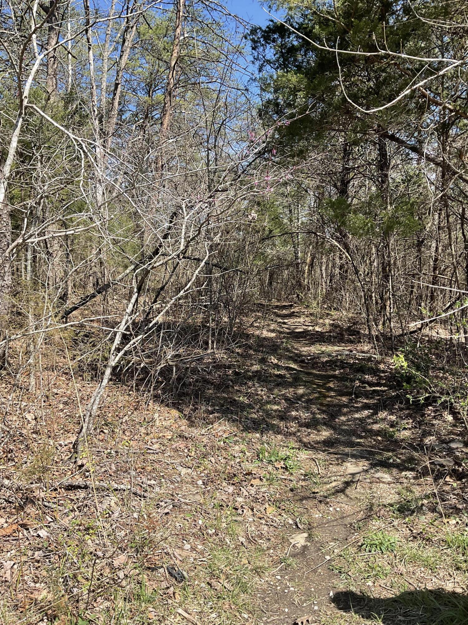 4 Caney Branch Spur Road, Unit 4 Burnside, KY 42519 - Photo 3 of 10 IMG_0340