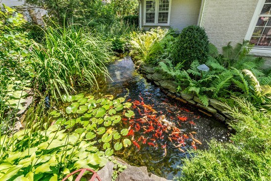 1850 Burton Lane Park Ridge, IL 60068 - Photo 10 of 34 a backyard of a house with lots of green space