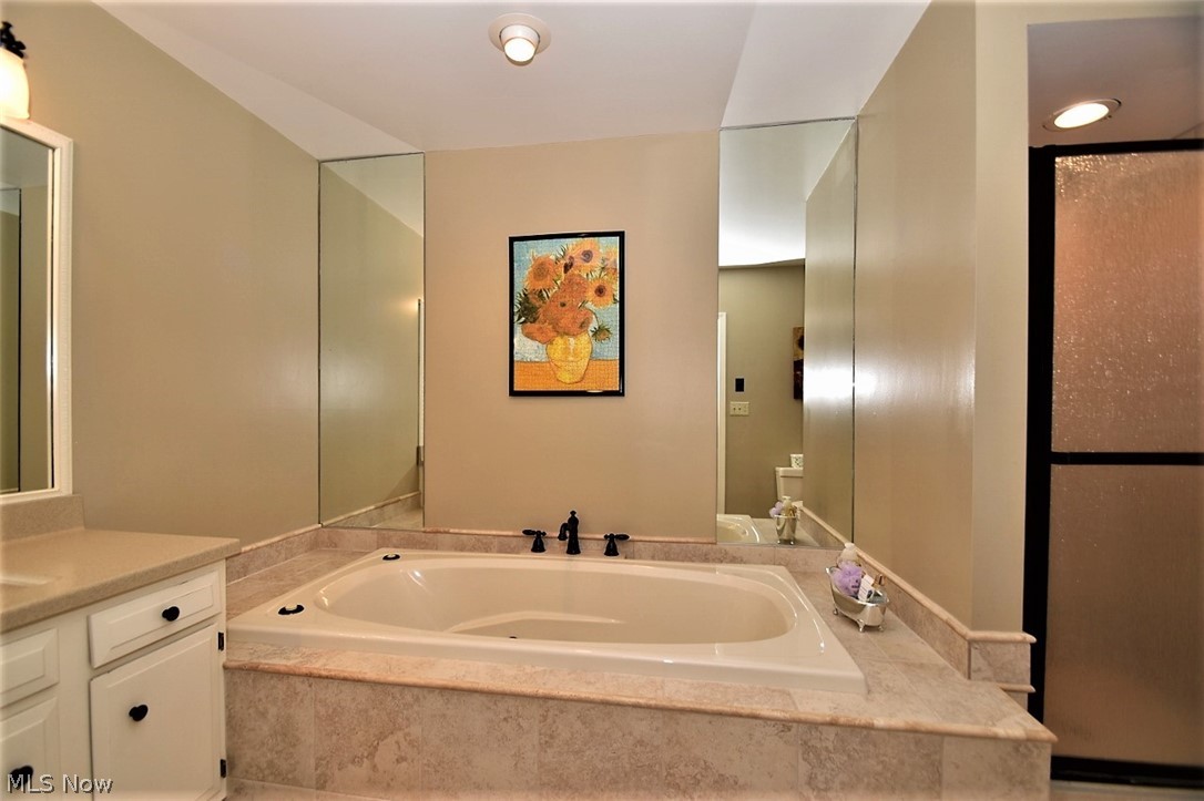 530 Falls Road Chagrin Falls, OH 44022 - Photo 14 of 34 Master bath with jacuzzi tub and walk in shower.