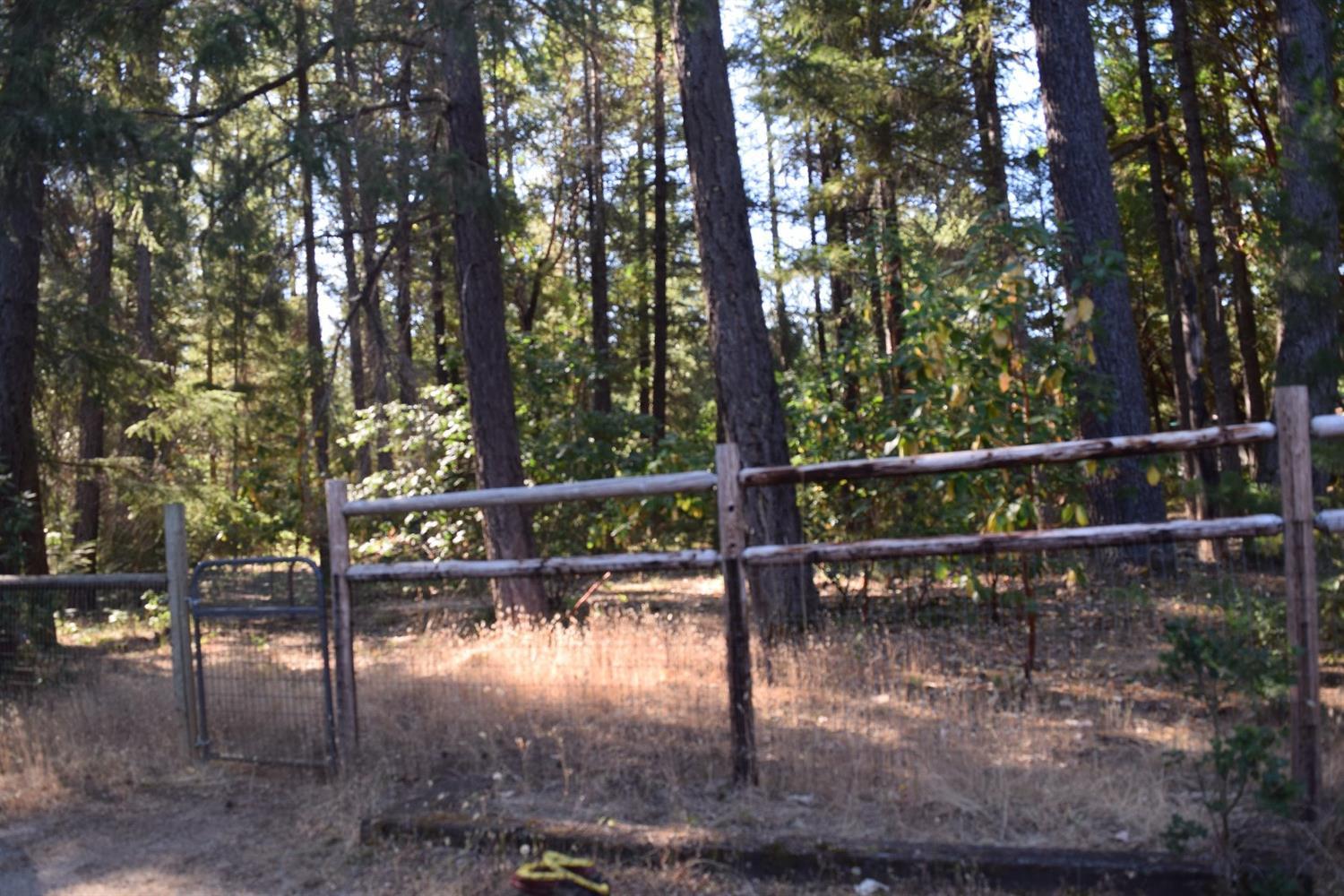 1076 Queens Branch Road Rogue River, OR 97537 - Photo 23 of 29 Additional Photo