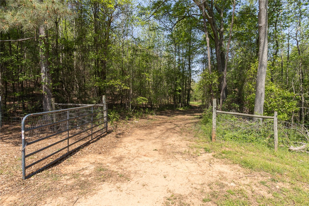 820 Travis Road Anderson, SC 29626 - Photo 42 of 46 This expansive lot features a gated entry leading to a serene, wooded landscape.