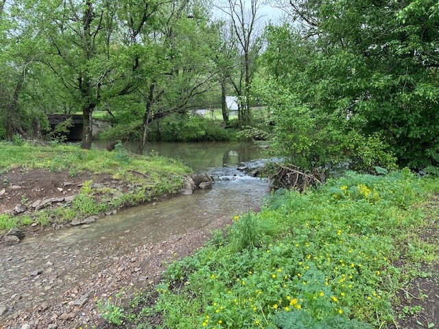 6 Booneville Church Road Fayetteville, TN 37334 - Photo 8 of 39