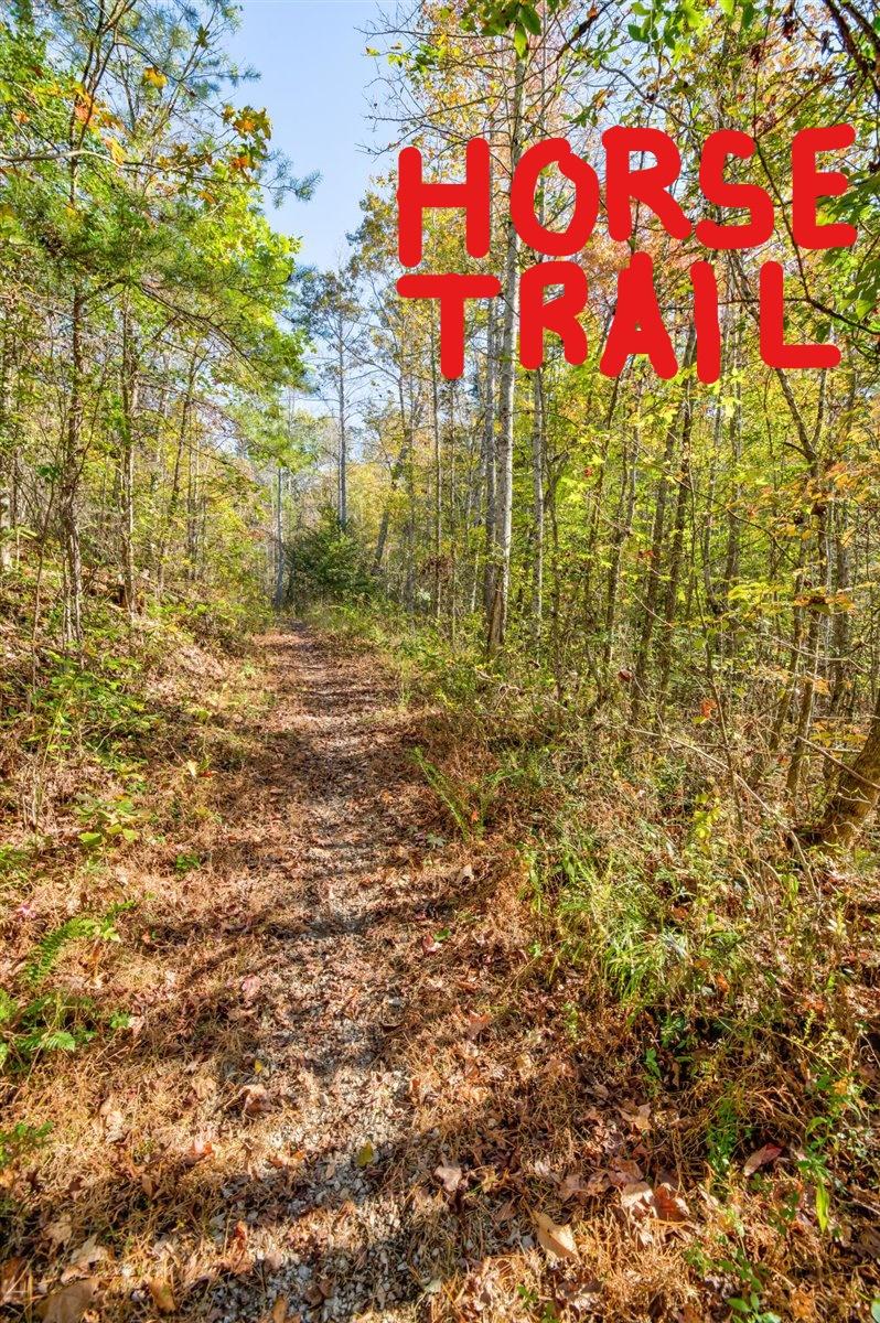 190 Basin Creek Road Reliance, TN 37369 - Photo 11 of 30 190 Basin Creek Road Horse Trails
