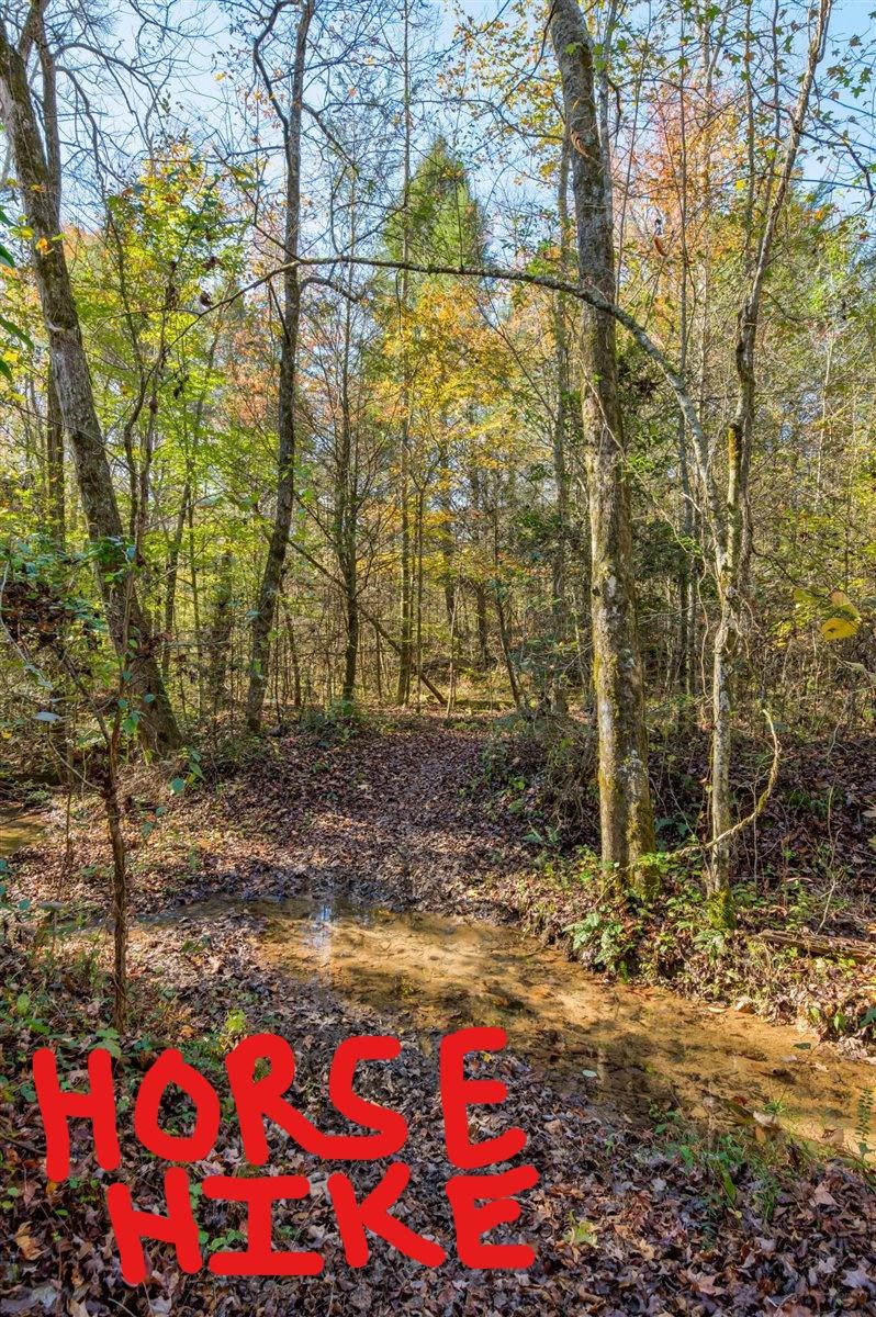 190 Basin Creek Road Reliance, TN 37369 - Photo 12 of 30 190 Basin Creek Road Horse-Hike Trails