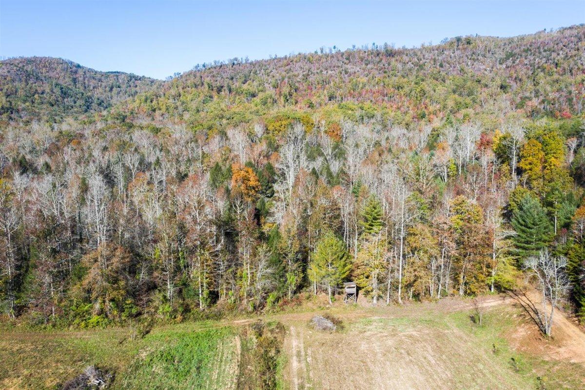 190 Basin Creek Road Reliance, TN 37369 - Photo 15 of 30 190 Basin Creek Road Pic 15