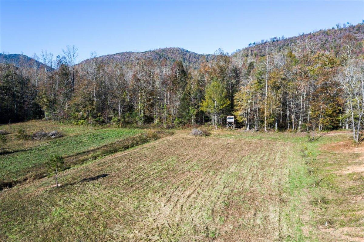 190 Basin Creek Road Reliance, TN 37369 - Photo 16 of 30 190 Basin Creek Road Pic 16
