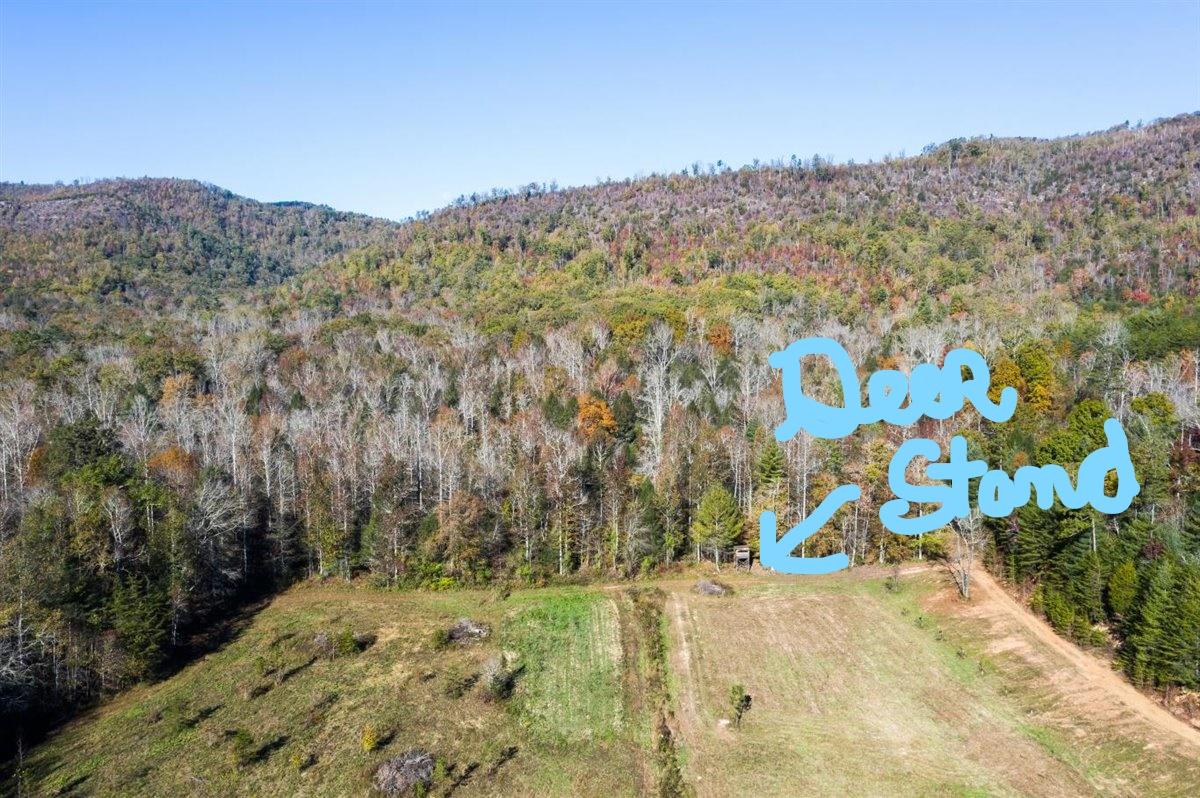 190 Basin Creek Road Reliance, TN 37369 - Photo 17 of 30 190 Basin Creek Road Pic 198