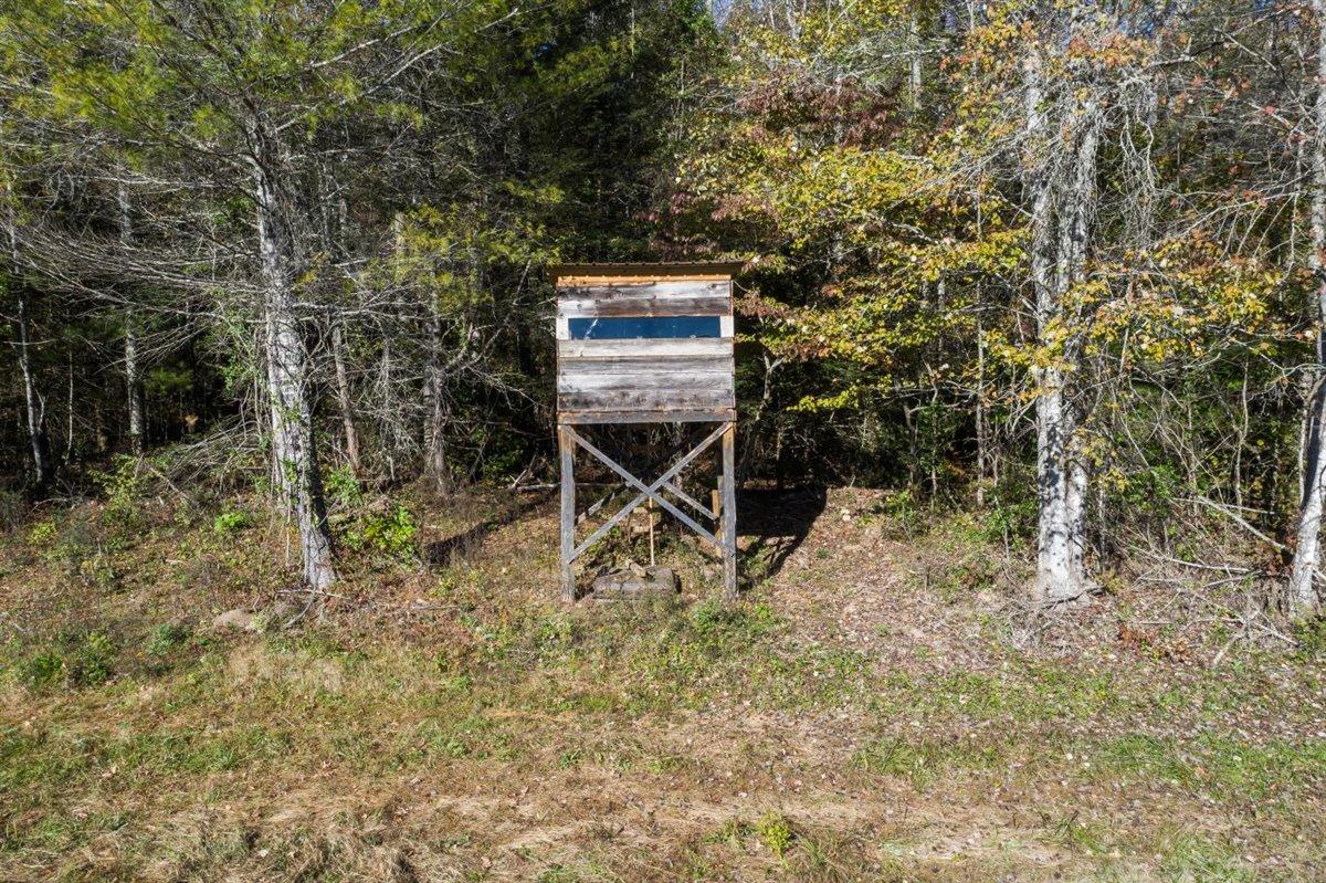 190 Basin Creek Road Reliance, TN 37369 - Photo 18 of 30 190 Basin Creek Road Deer Stand Pic 2