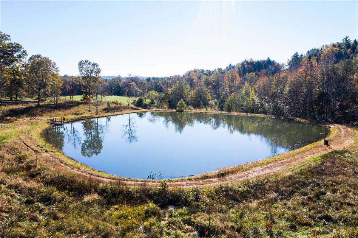 190 Basin Creek Road Reliance, TN 37369 - Photo 3 of 30 190 Basin Creek Road Pond