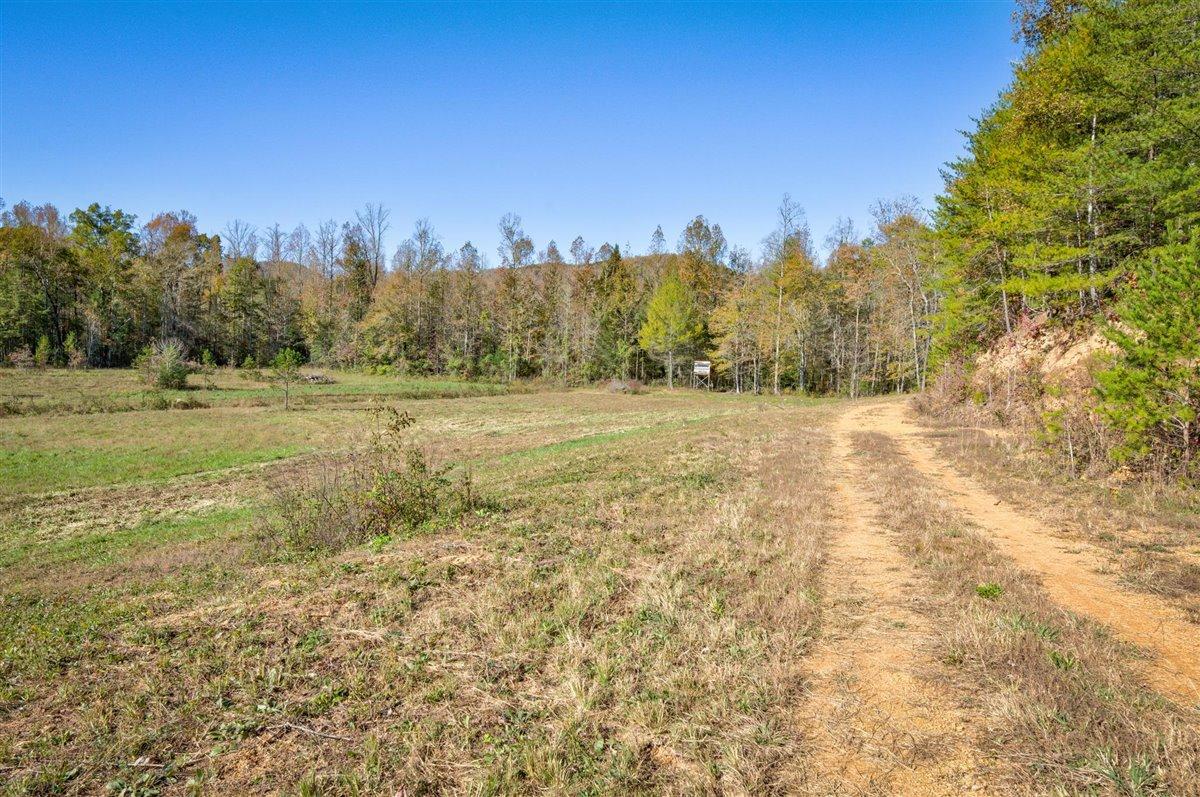 190 Basin Creek Road Reliance, TN 37369 - Photo 21 of 30 190 Basin Creek Road Pic 21
