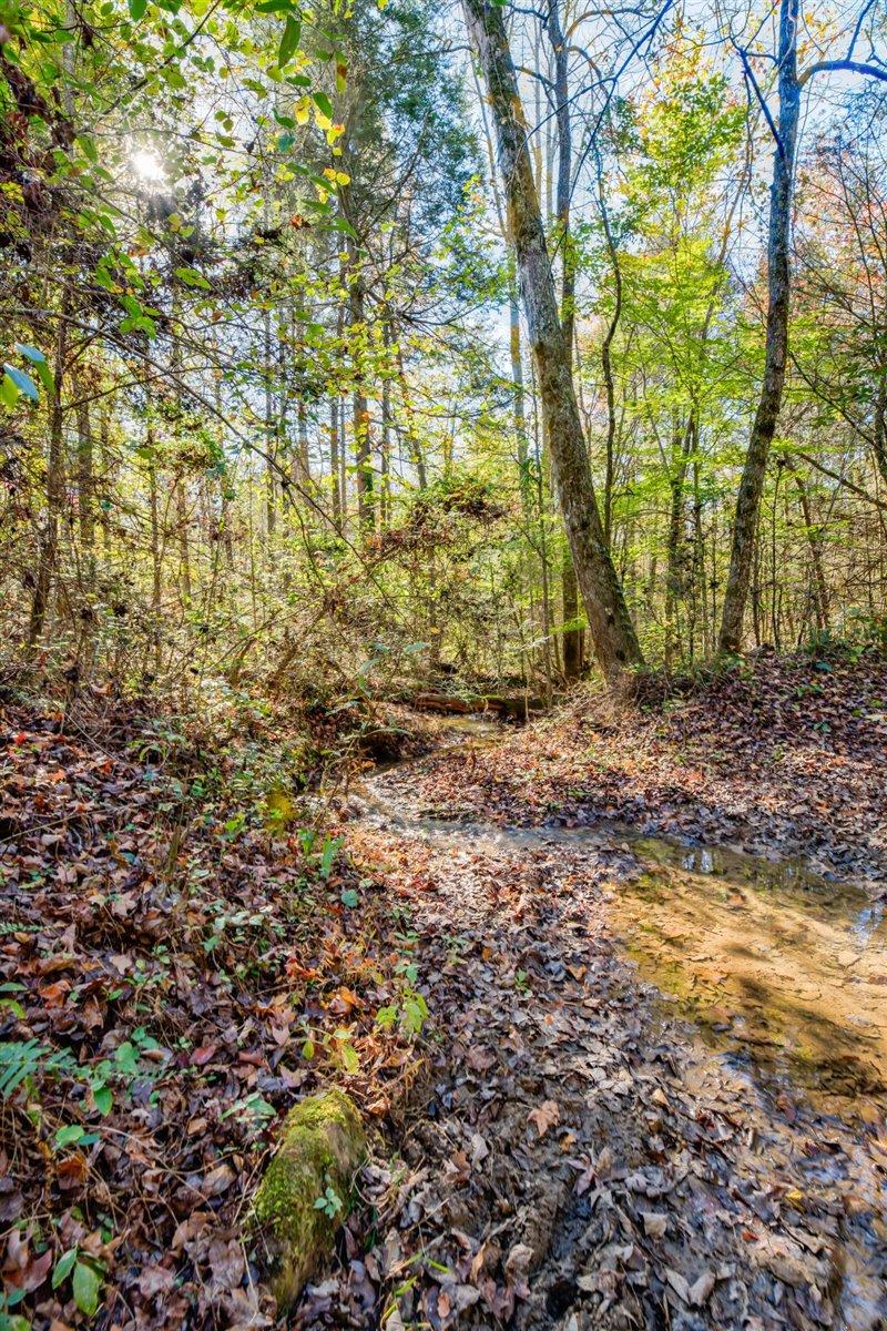190 Basin Creek Road Reliance, TN 37369 - Photo 22 of 30 190 Basin Creek Road Pic 22