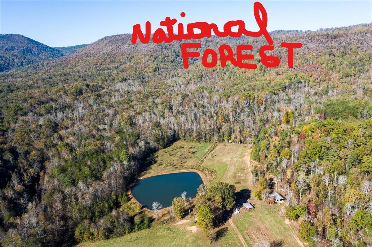 190 Basin Creek Road Reliance, TN 37369 - Photo 5 of 30 190 Basin Creek Road Pic 17