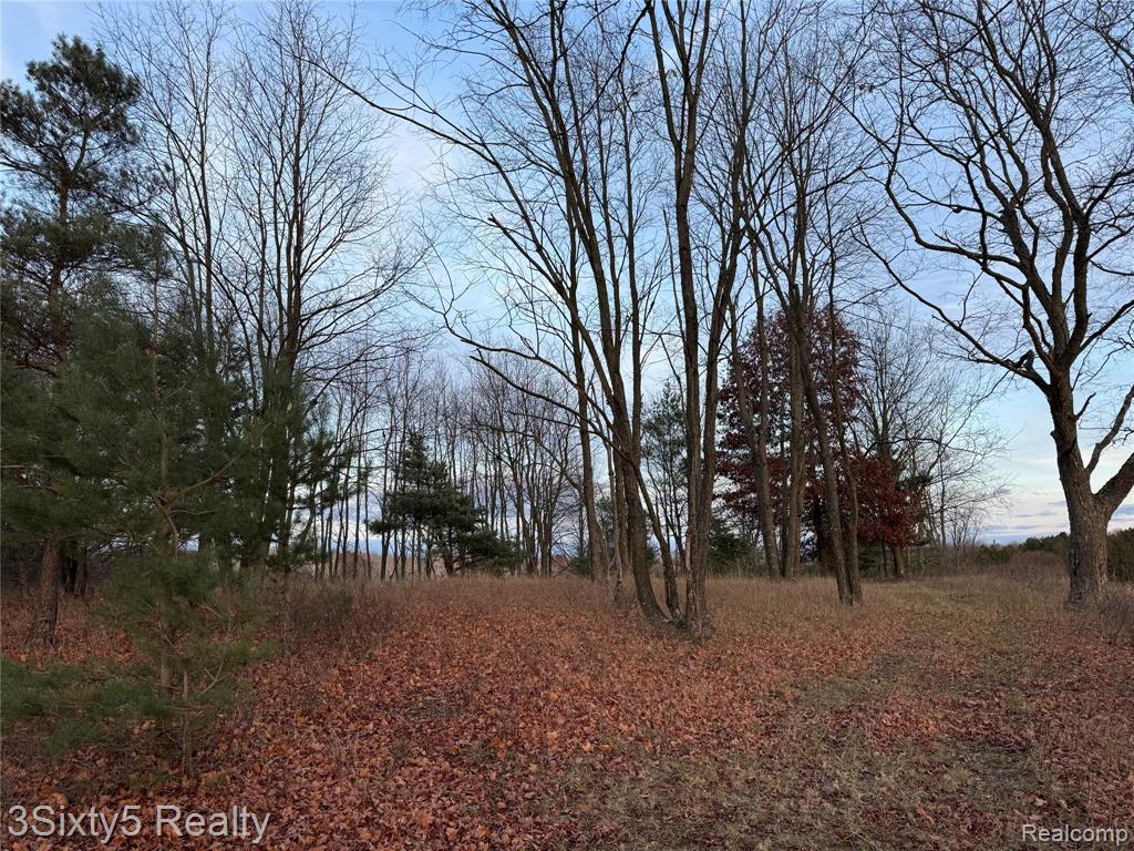 7710 West 10 Mile Road Bitely, MI 49309 - Photo 3 of 11