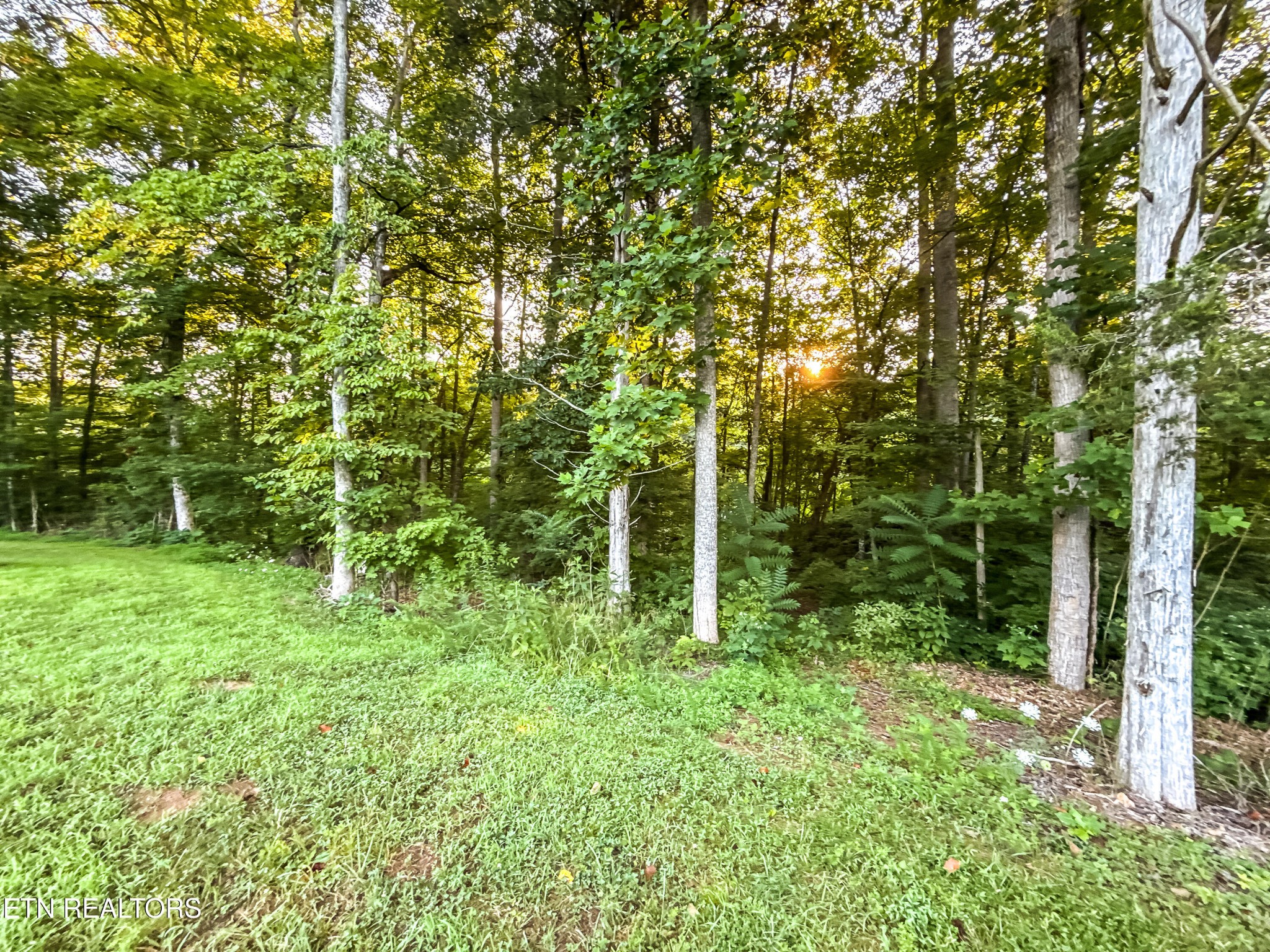 0 Helms Ferry Road Sharps Chapel, TN 37866 - Photo 17 of 43 Gallery Image 17