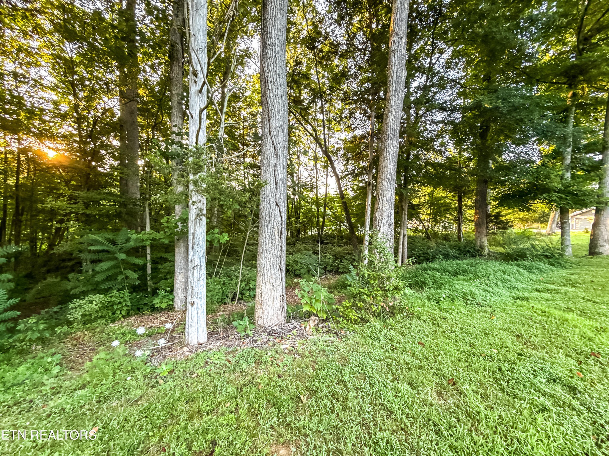 0 Helms Ferry Road Sharps Chapel, TN 37866 - Photo 18 of 43 Gallery Image 18