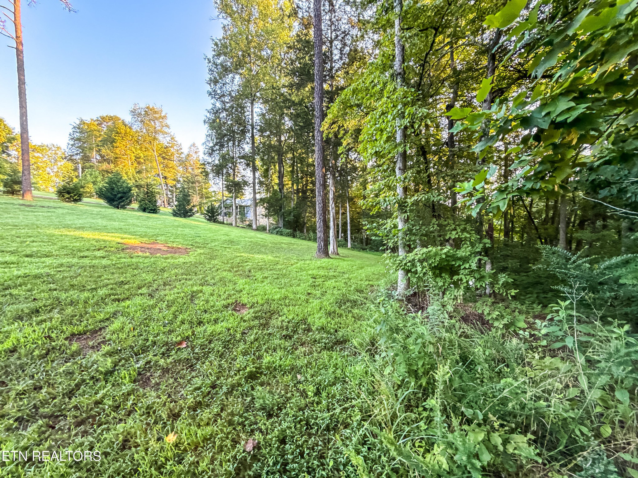 0 Helms Ferry Road Sharps Chapel, TN 37866 - Photo 21 of 43 Gallery Image 21
