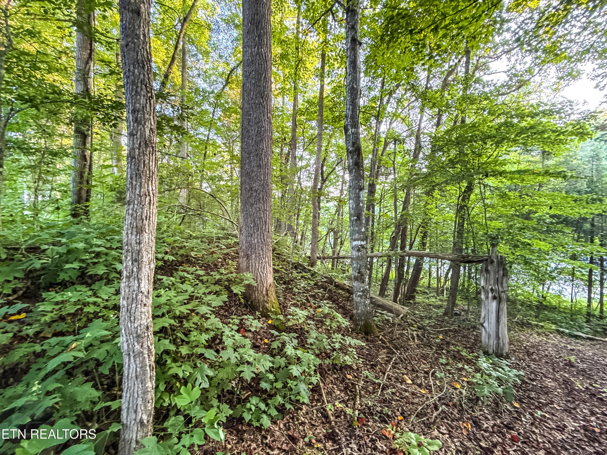 0 Helms Ferry Road Sharps Chapel, TN 37866 - Photo 23 of 43 Gallery Image 23