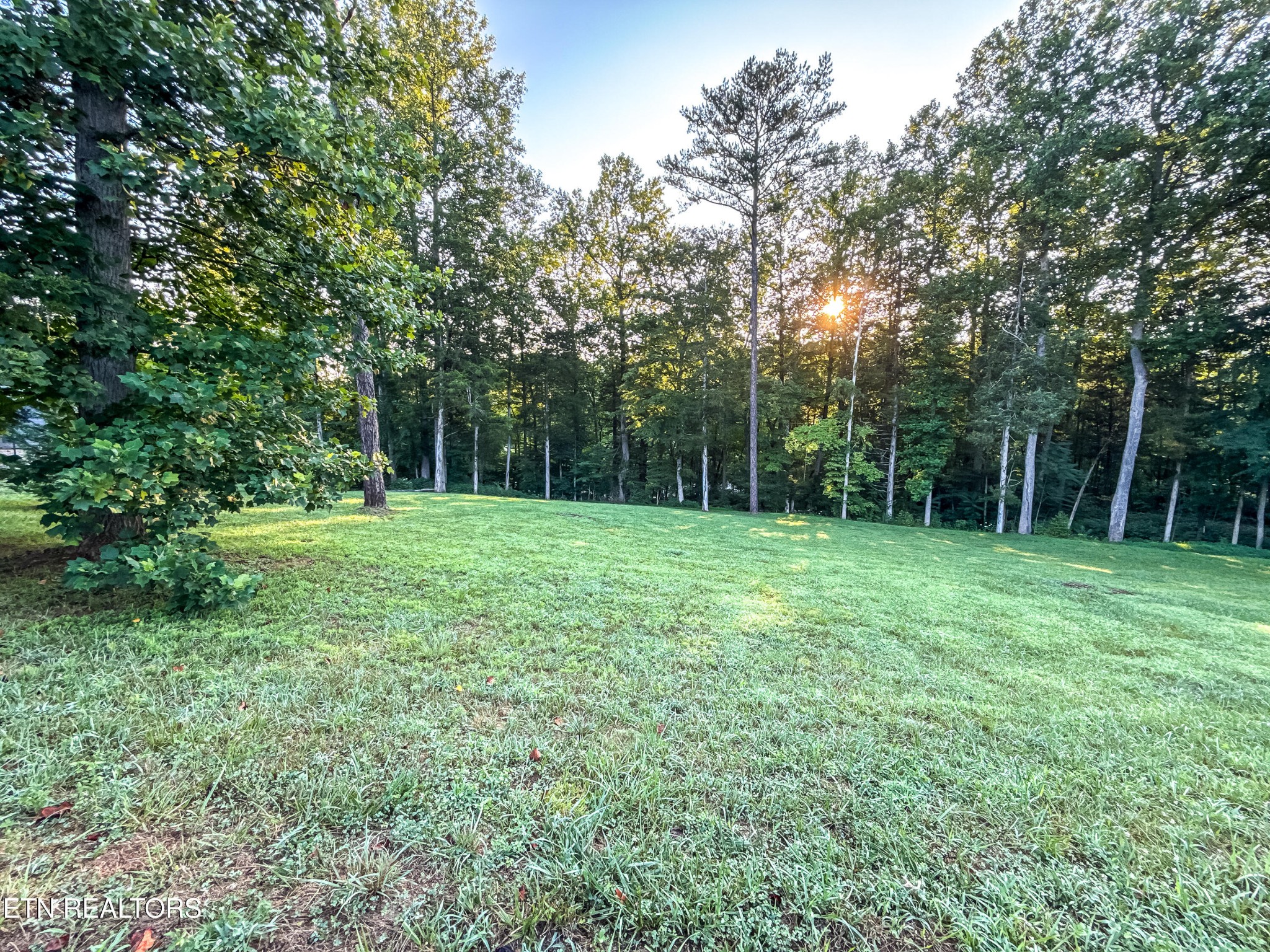 0 Helms Ferry Road Sharps Chapel, TN 37866 - Photo 7 of 43 Gallery Image 7