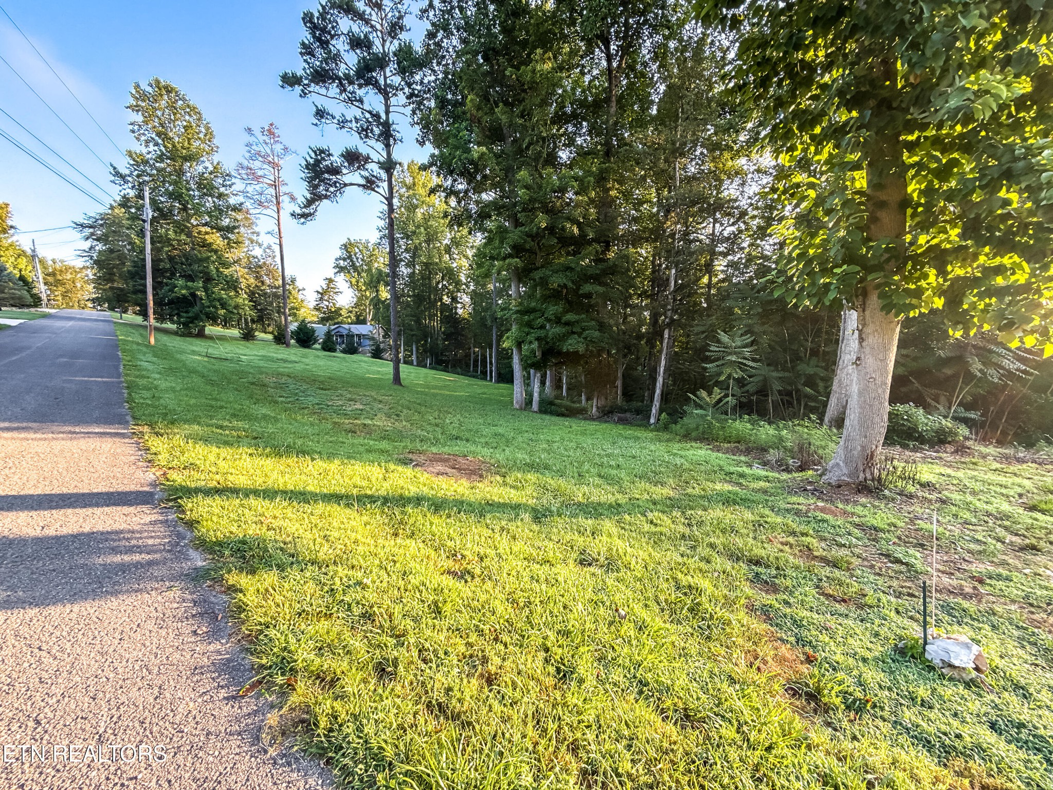 0 Helms Ferry Road Sharps Chapel, TN 37866 - Photo 10 of 43 Gallery Image 10