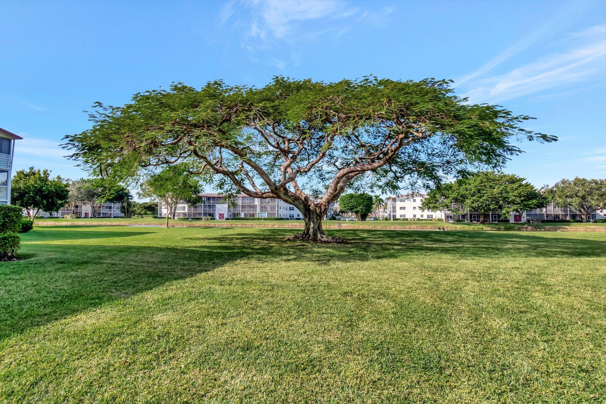 536 Fanshaw M Boca Raton, FL 33434 - Photo 27 of 65 48-web-or-mls-DSC_8731